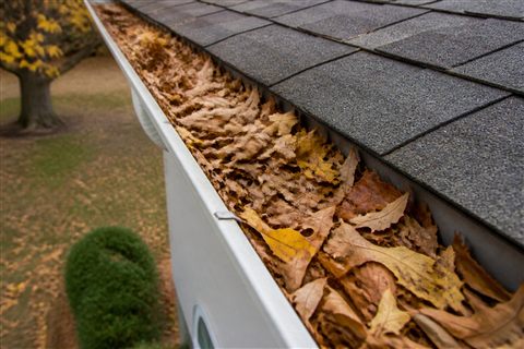 Leaf-filled gutter before cleaning